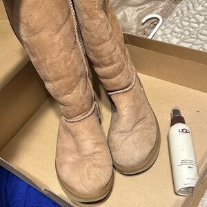 UGG Classic Chestnut Boots